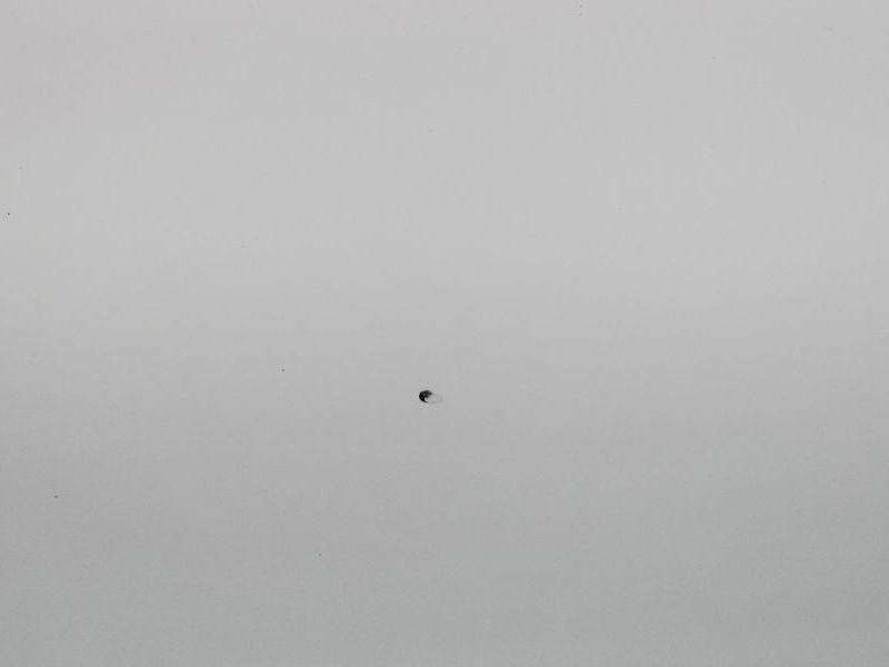 Image 27