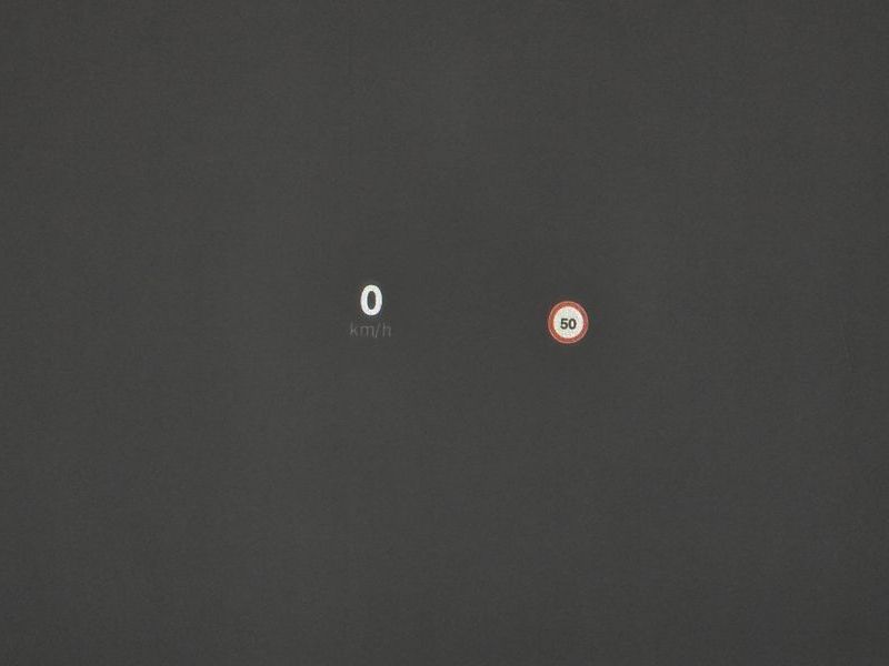 Image 31