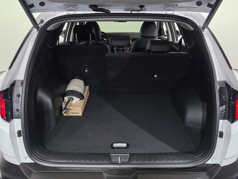 Image 19