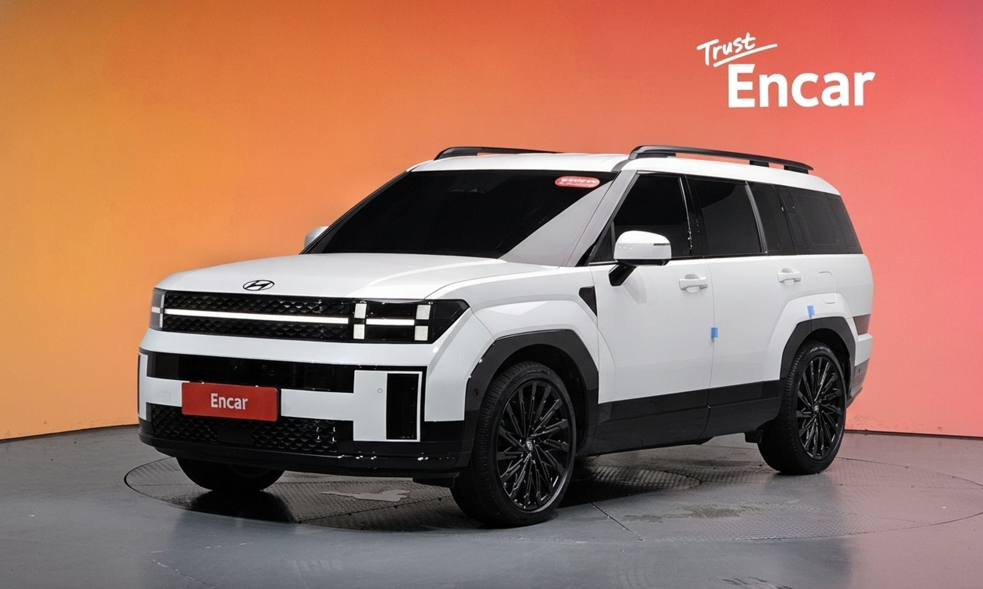 Image 19