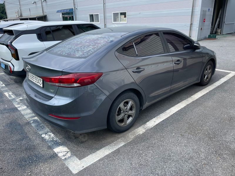 Image 8
