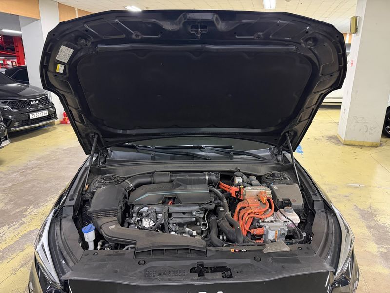 Image 17