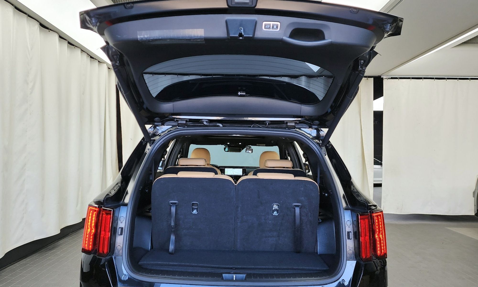 Image 19