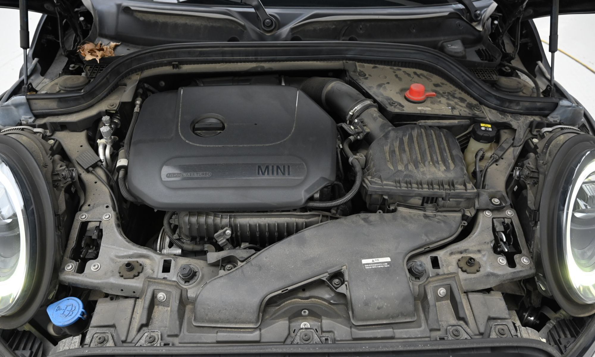Image 5