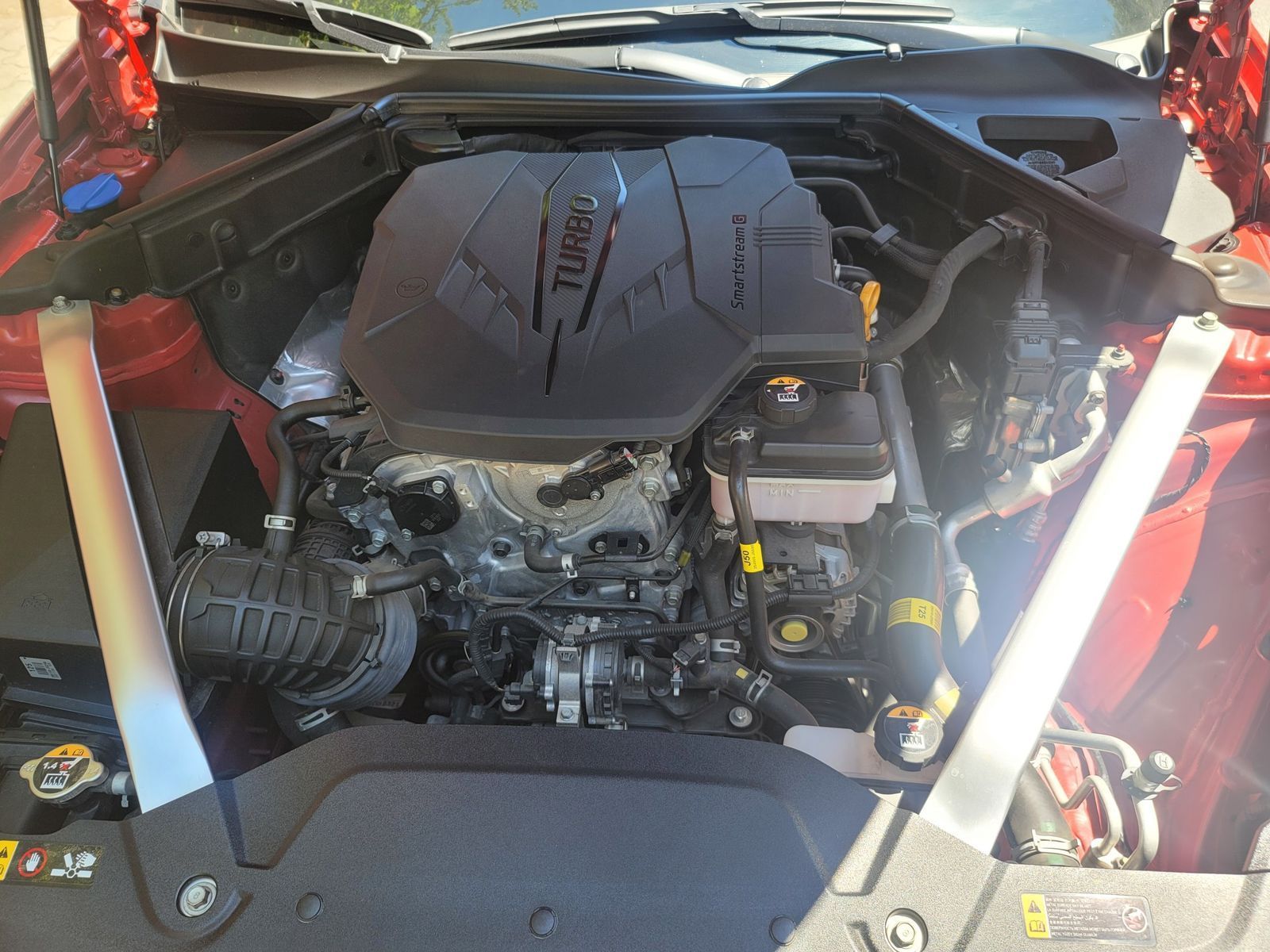 Image 5