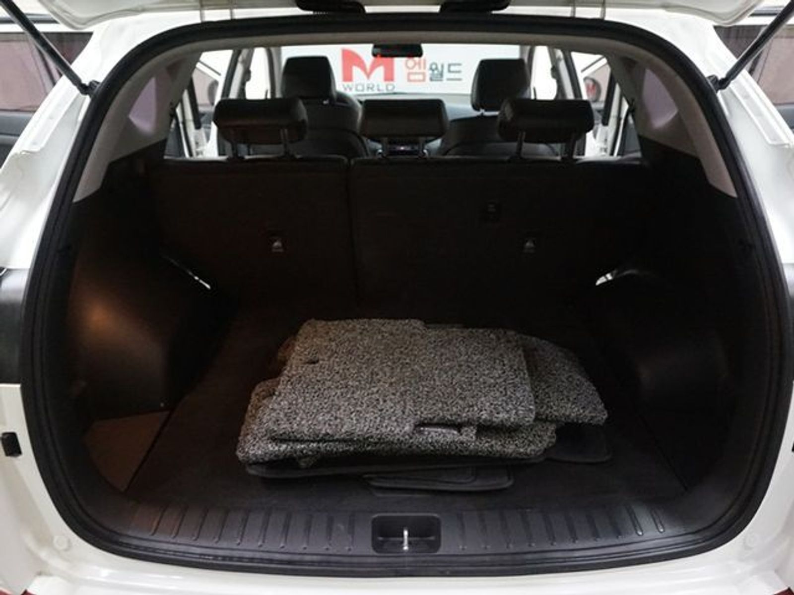 Image 19