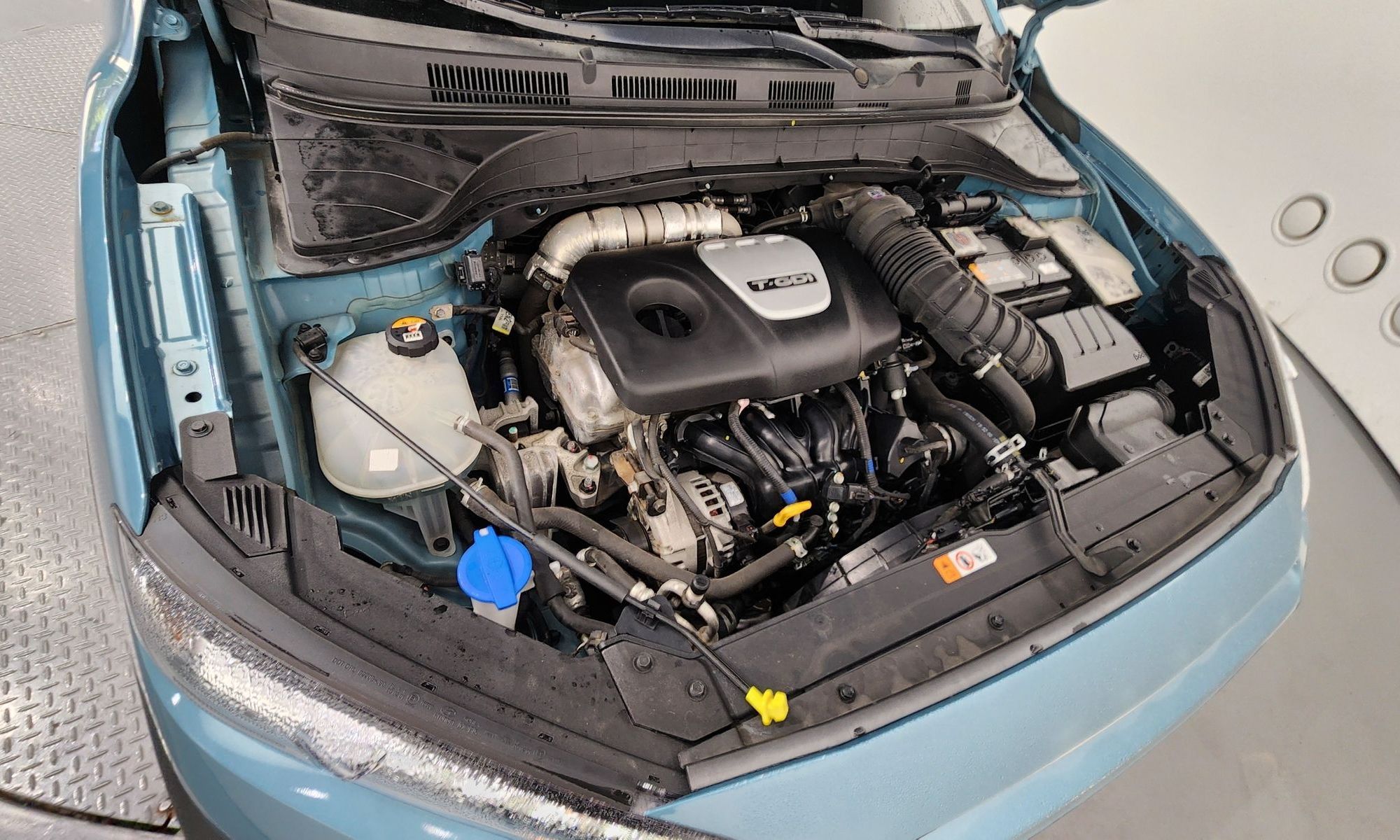 Image 5