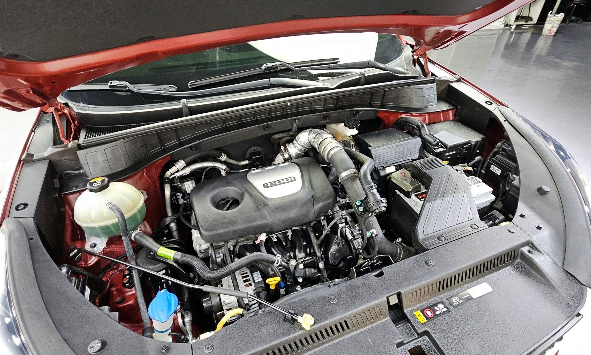 Image 5