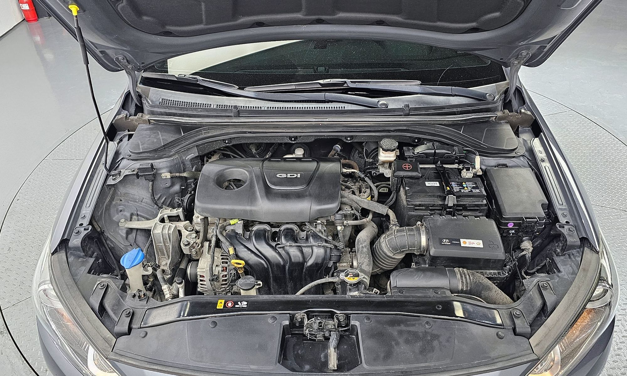 Image 5