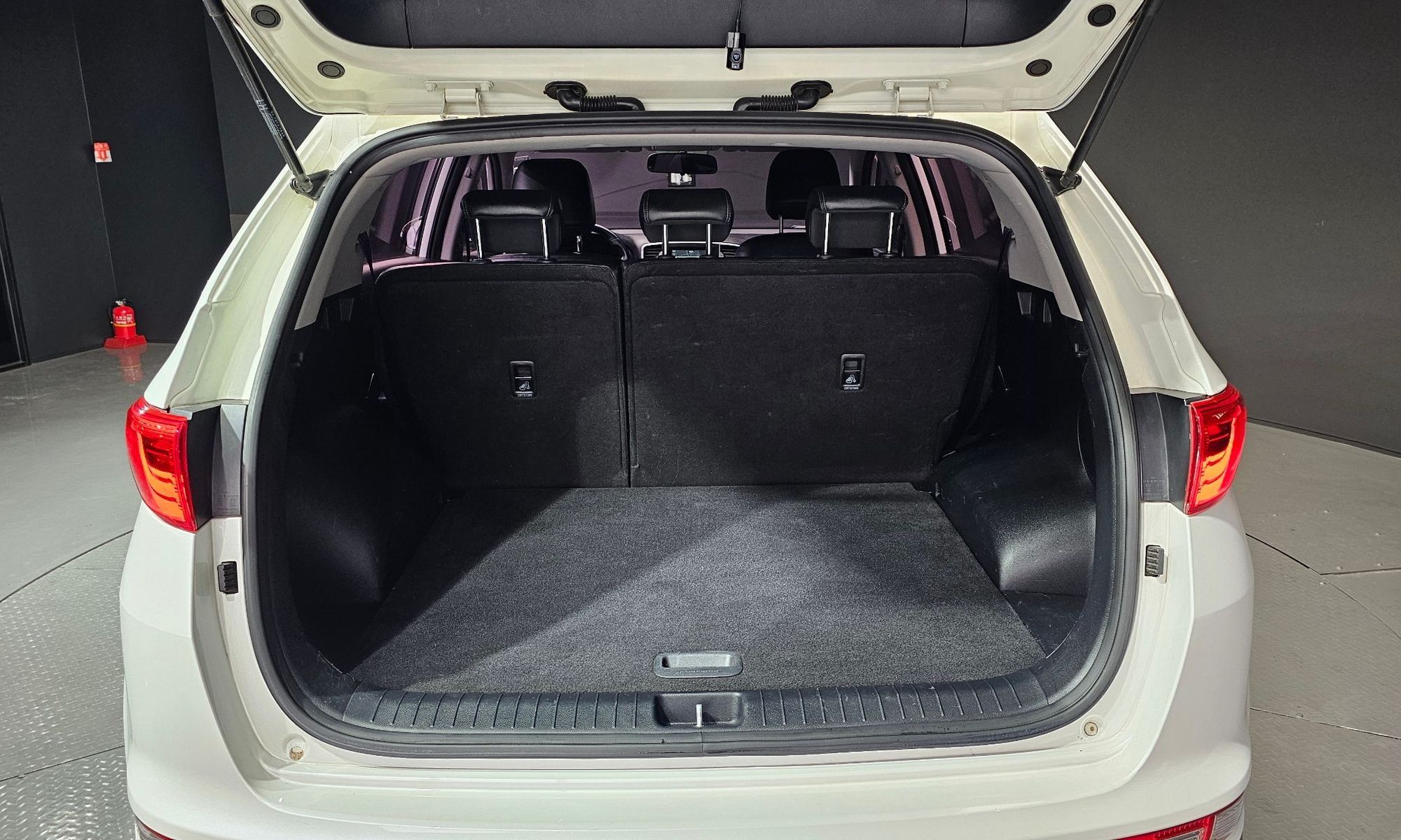 Image 19
