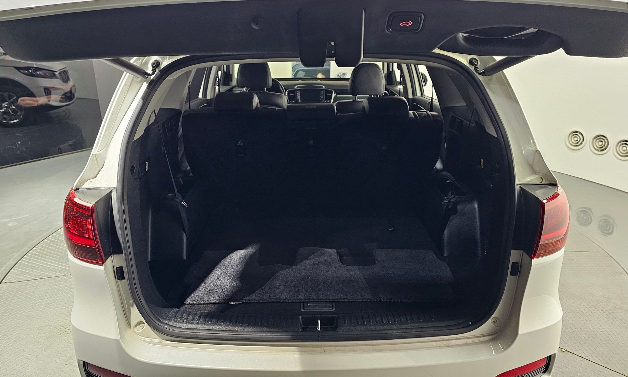 Image 19