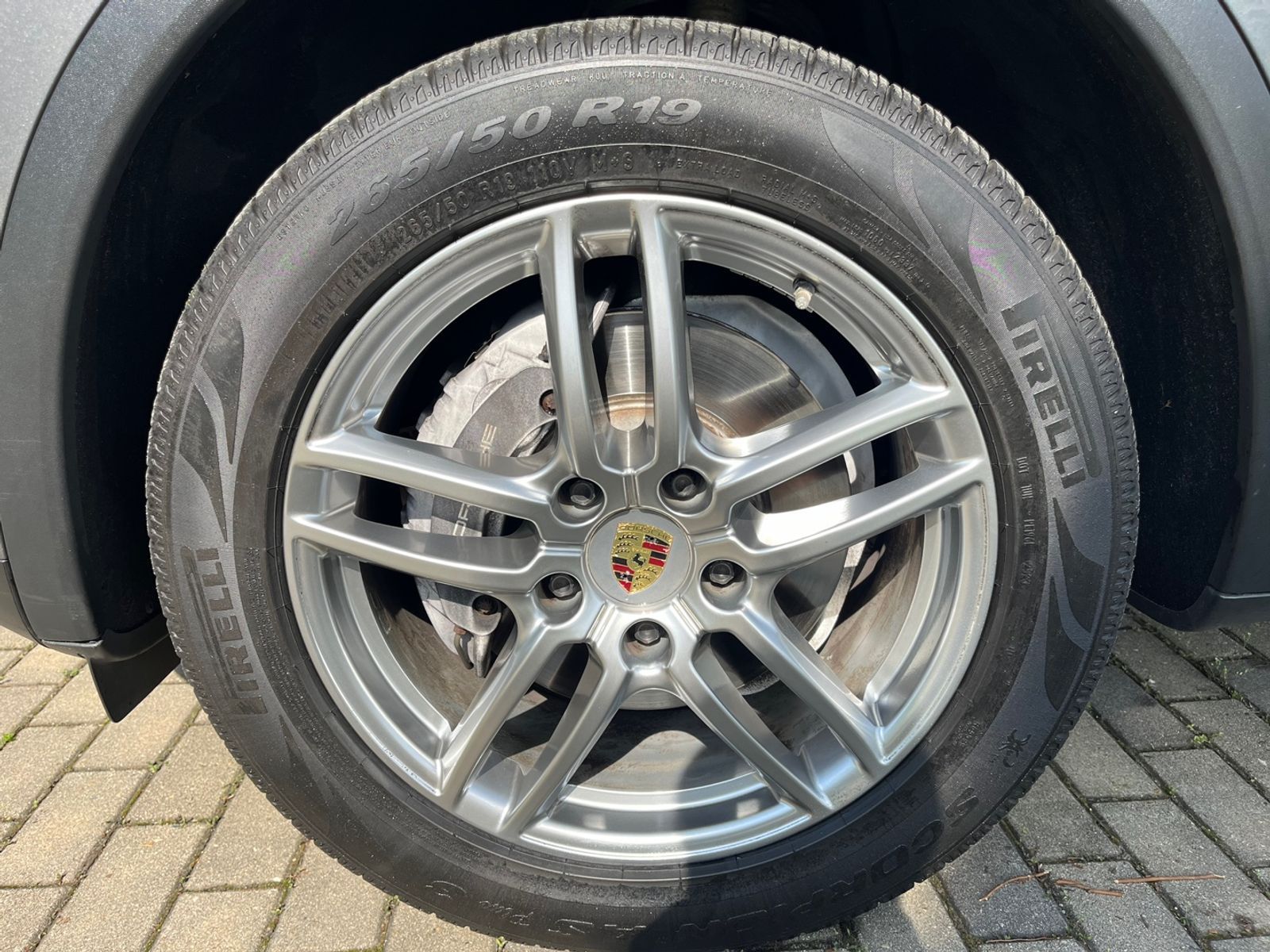 Image 8