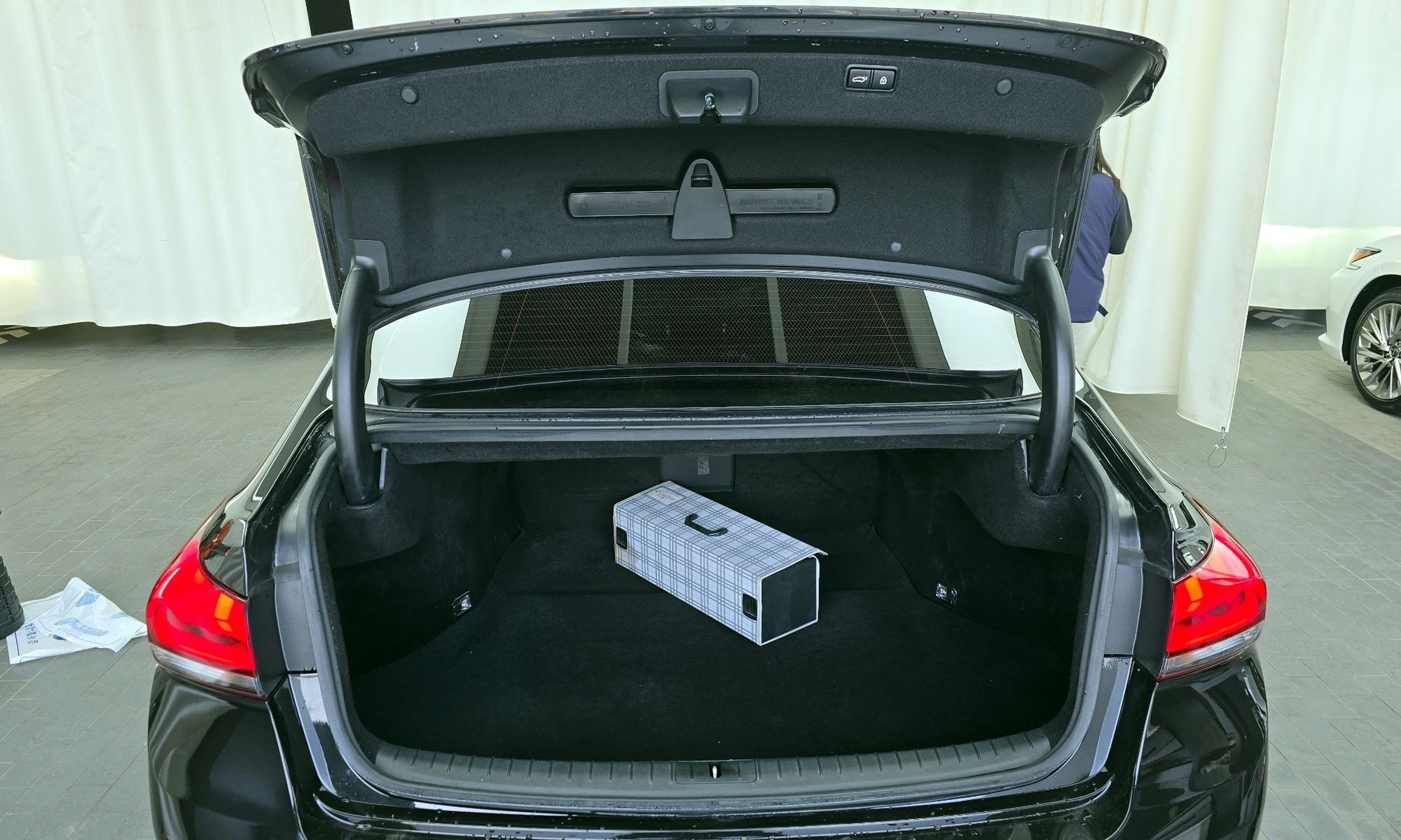 Image 19
