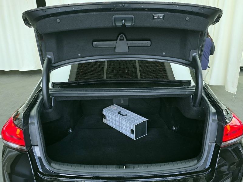 Image 19