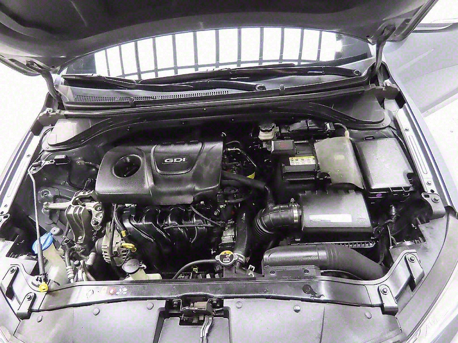 Image 6