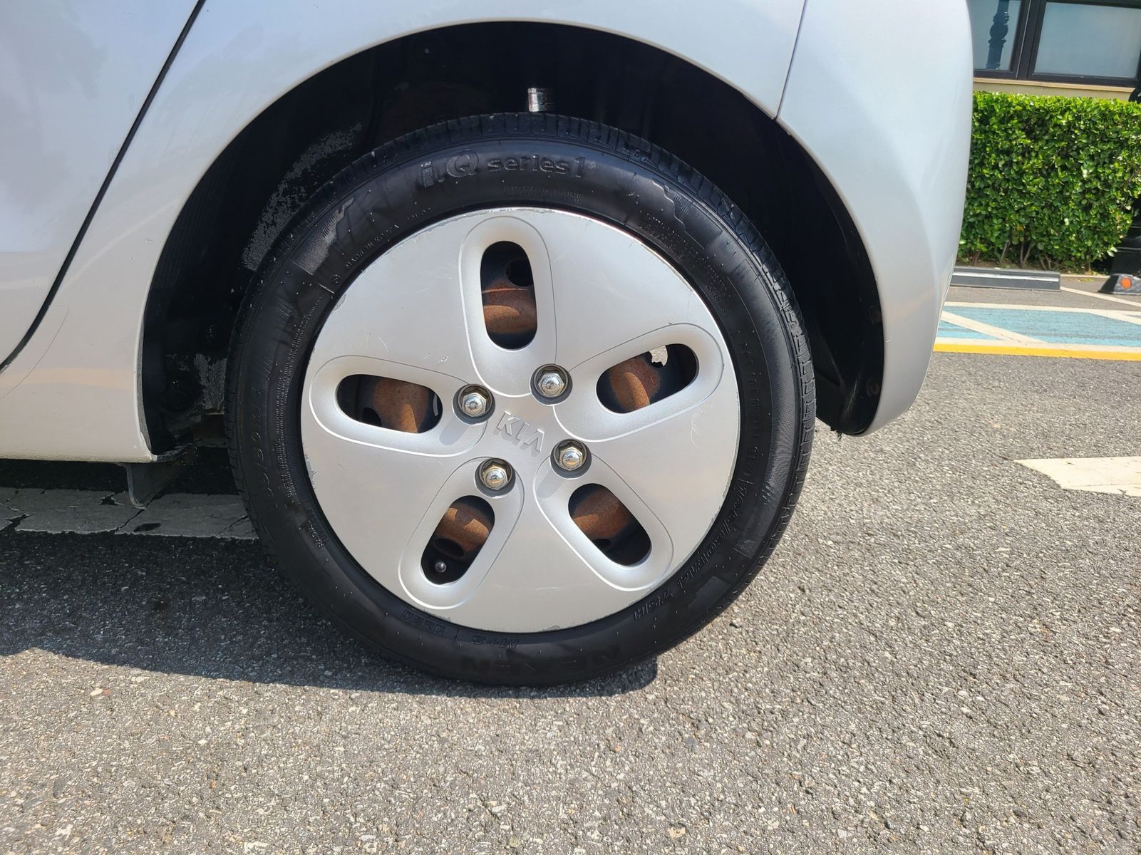 Image 15