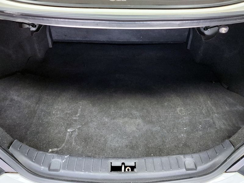 Image 19