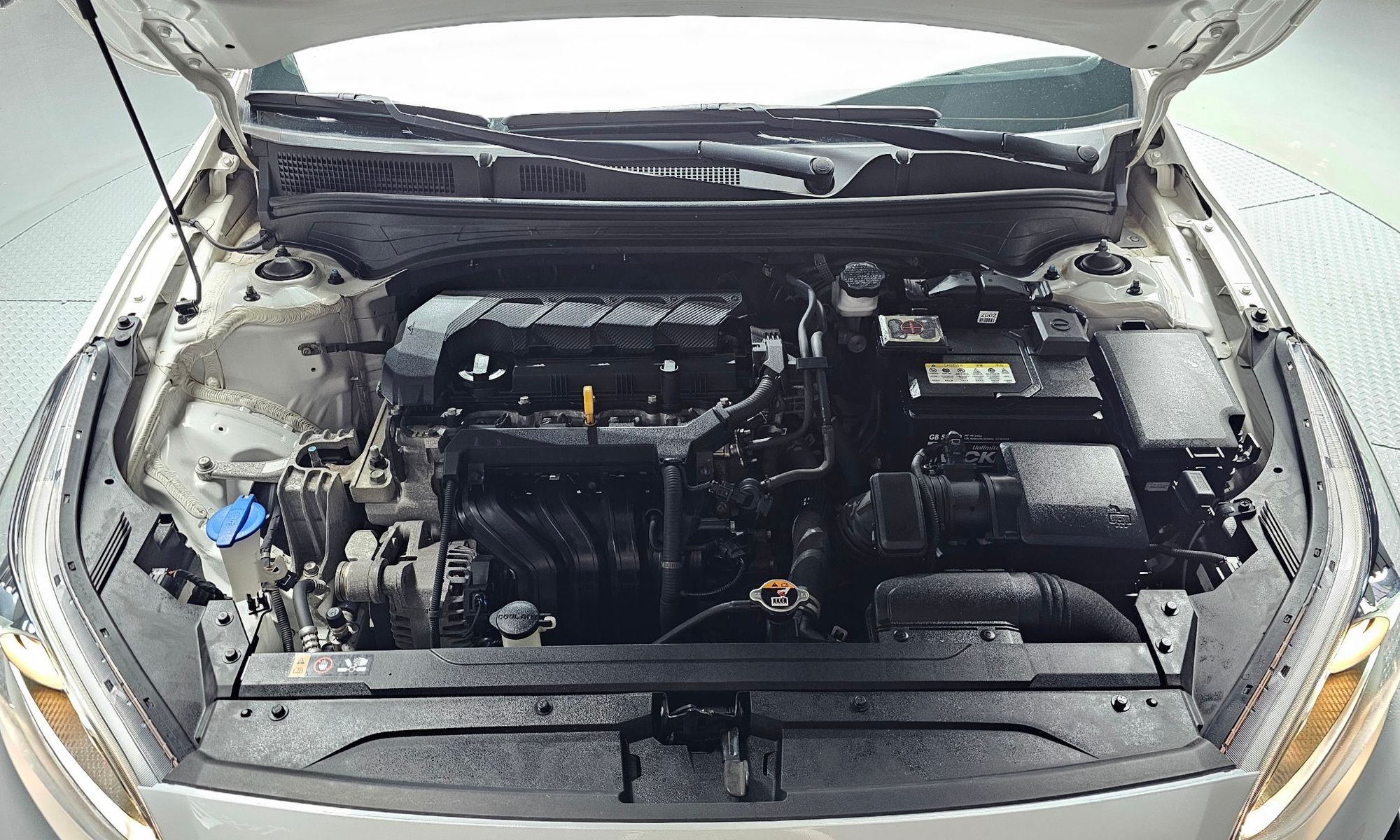 Image 5