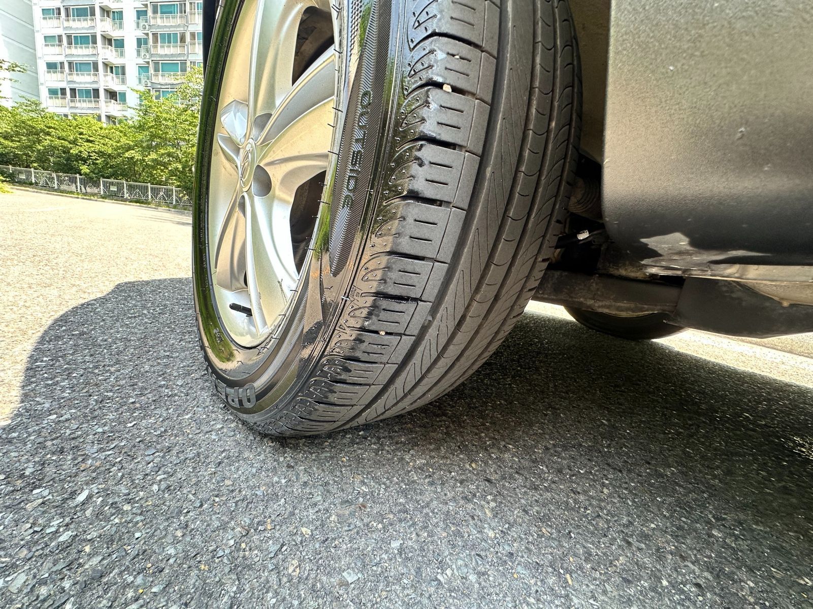 Image 8