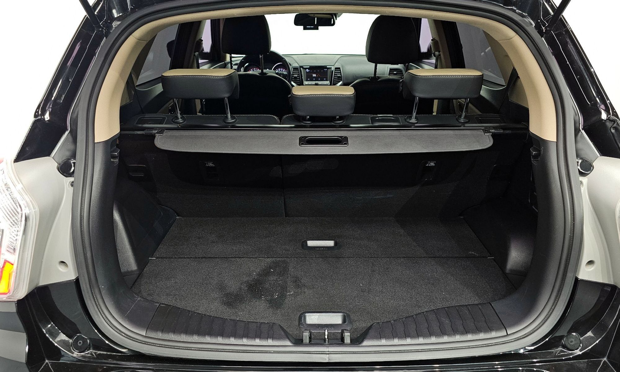 Image 19