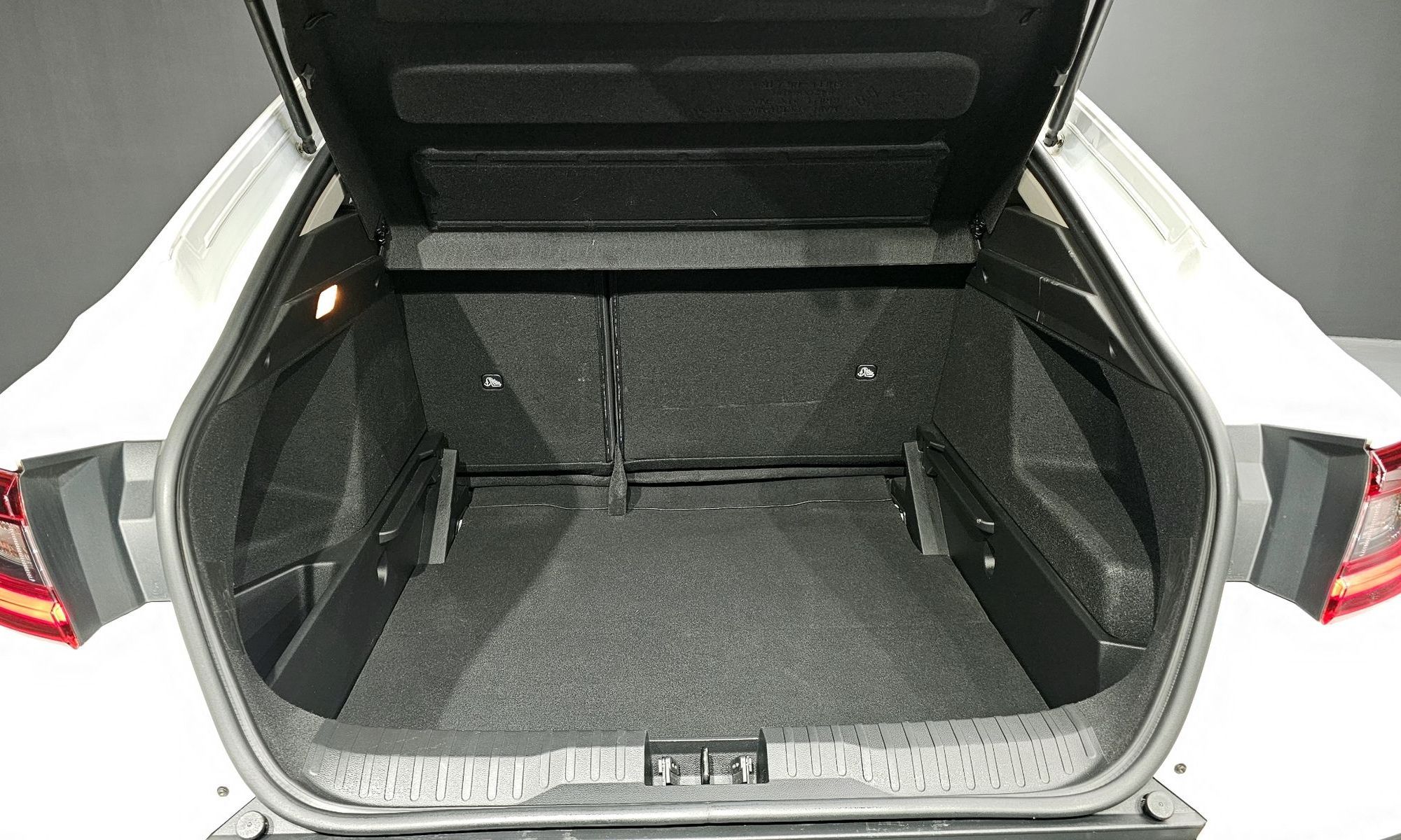 Image 19