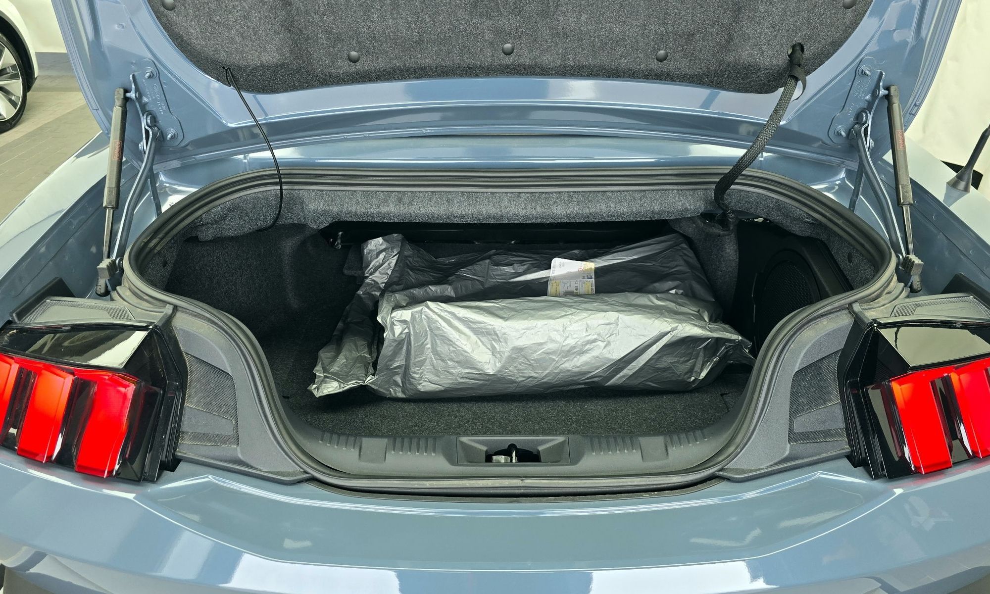 Image 19