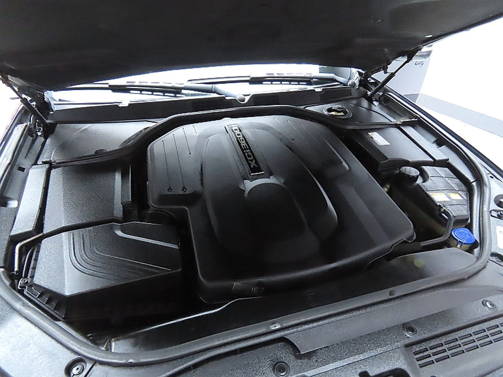 Image 6