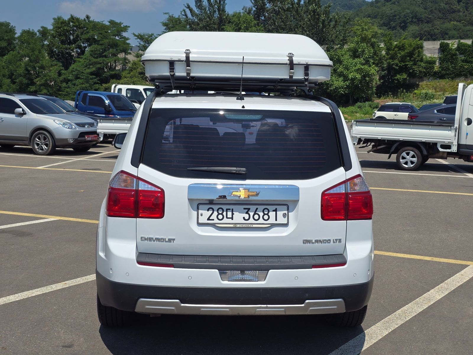 Image 5