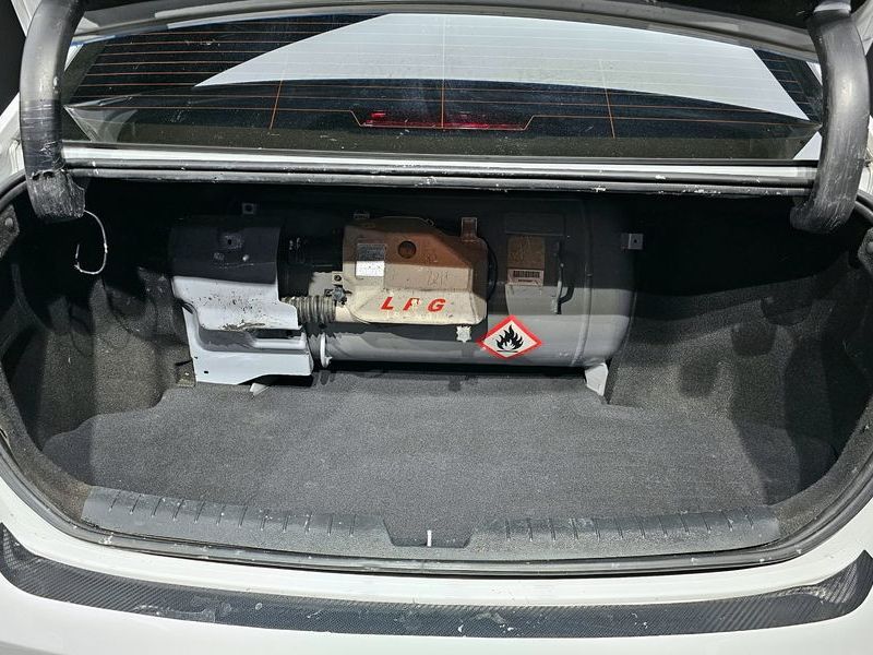 Image 19