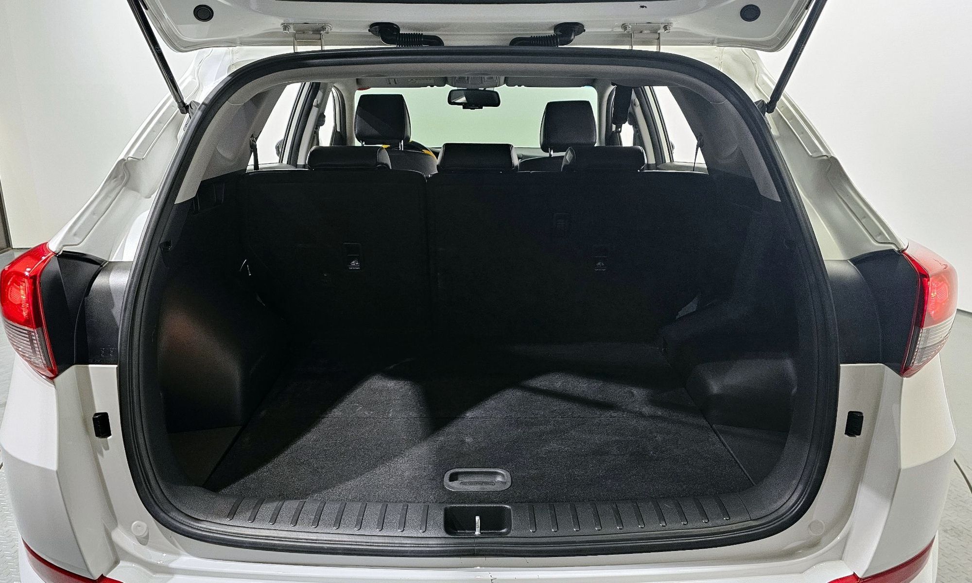 Image 19