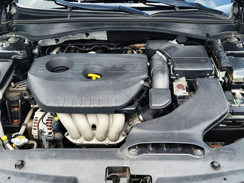 Image 7