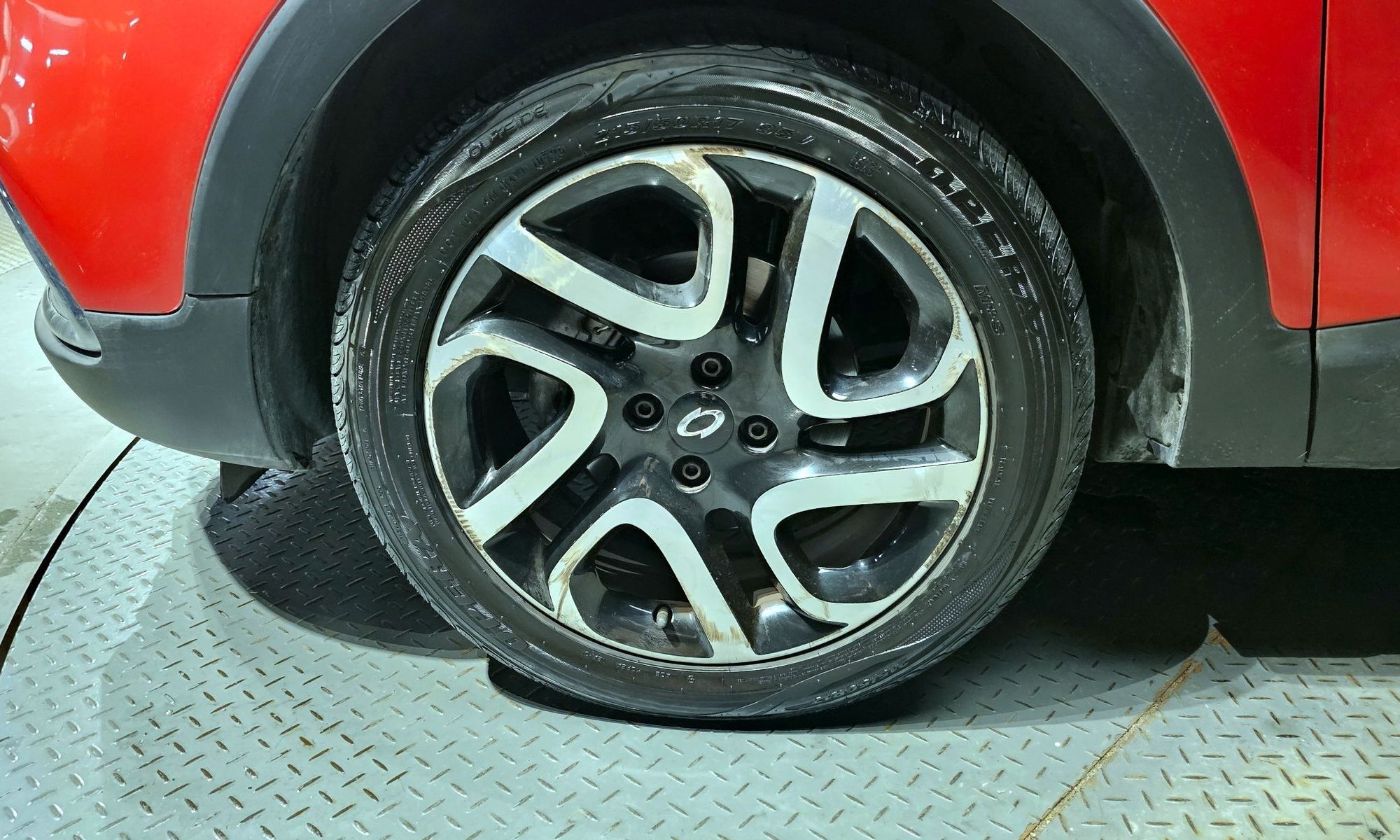Image 4