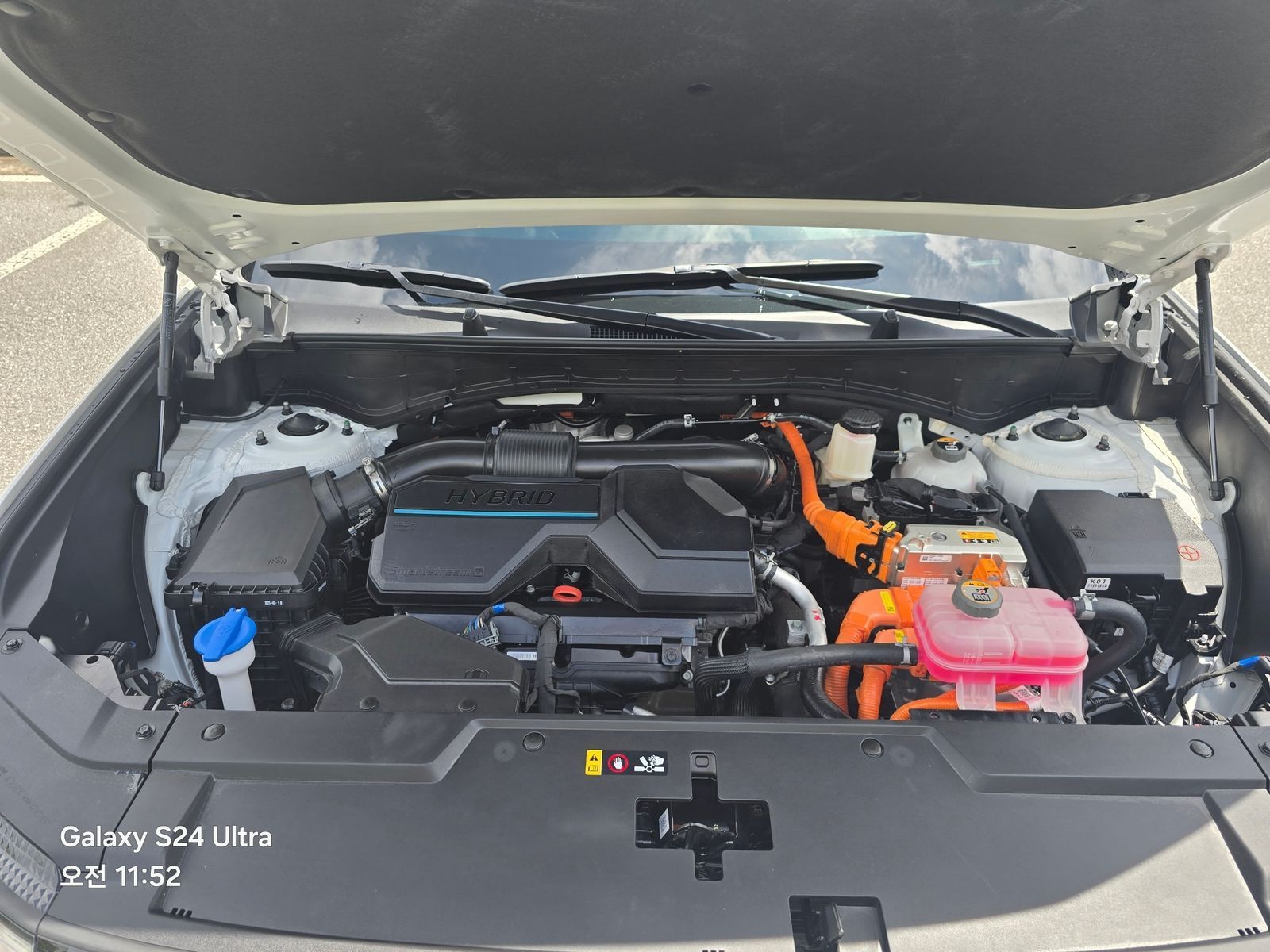 Image 12