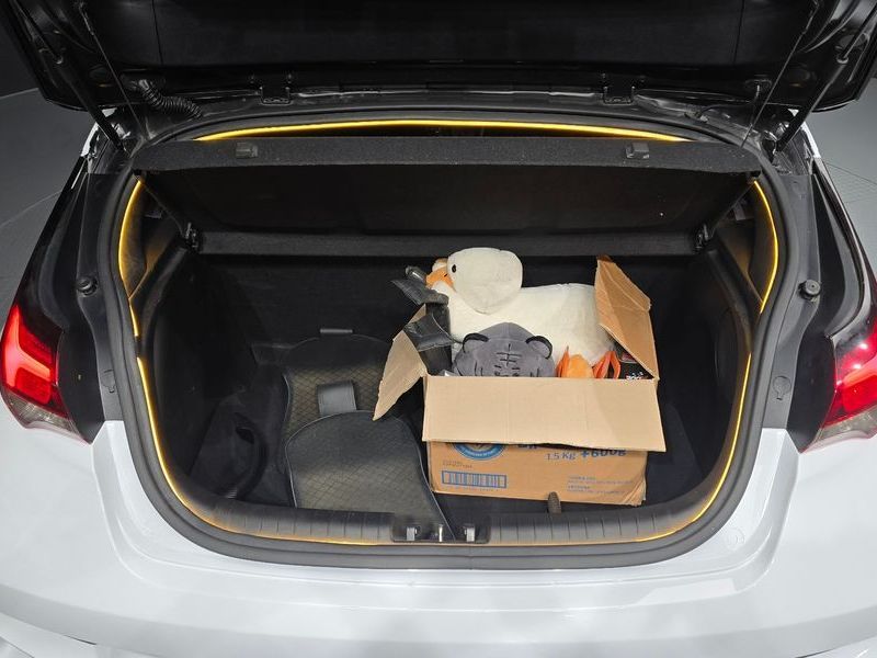 Image 19
