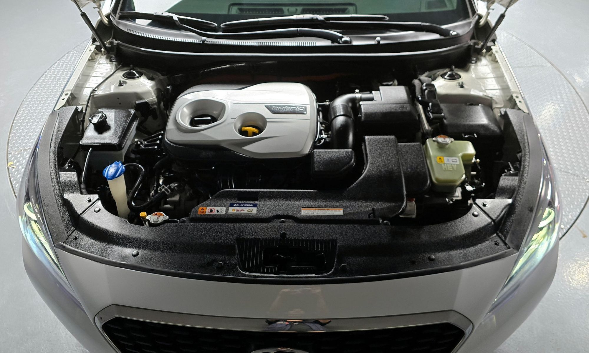 Image 5