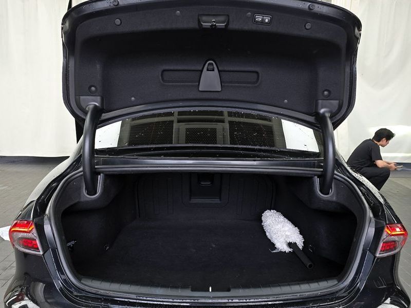 Image 19