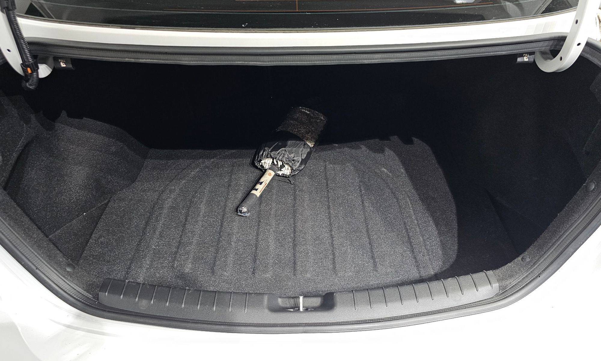 Image 19