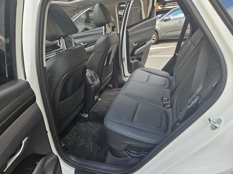 Image 11