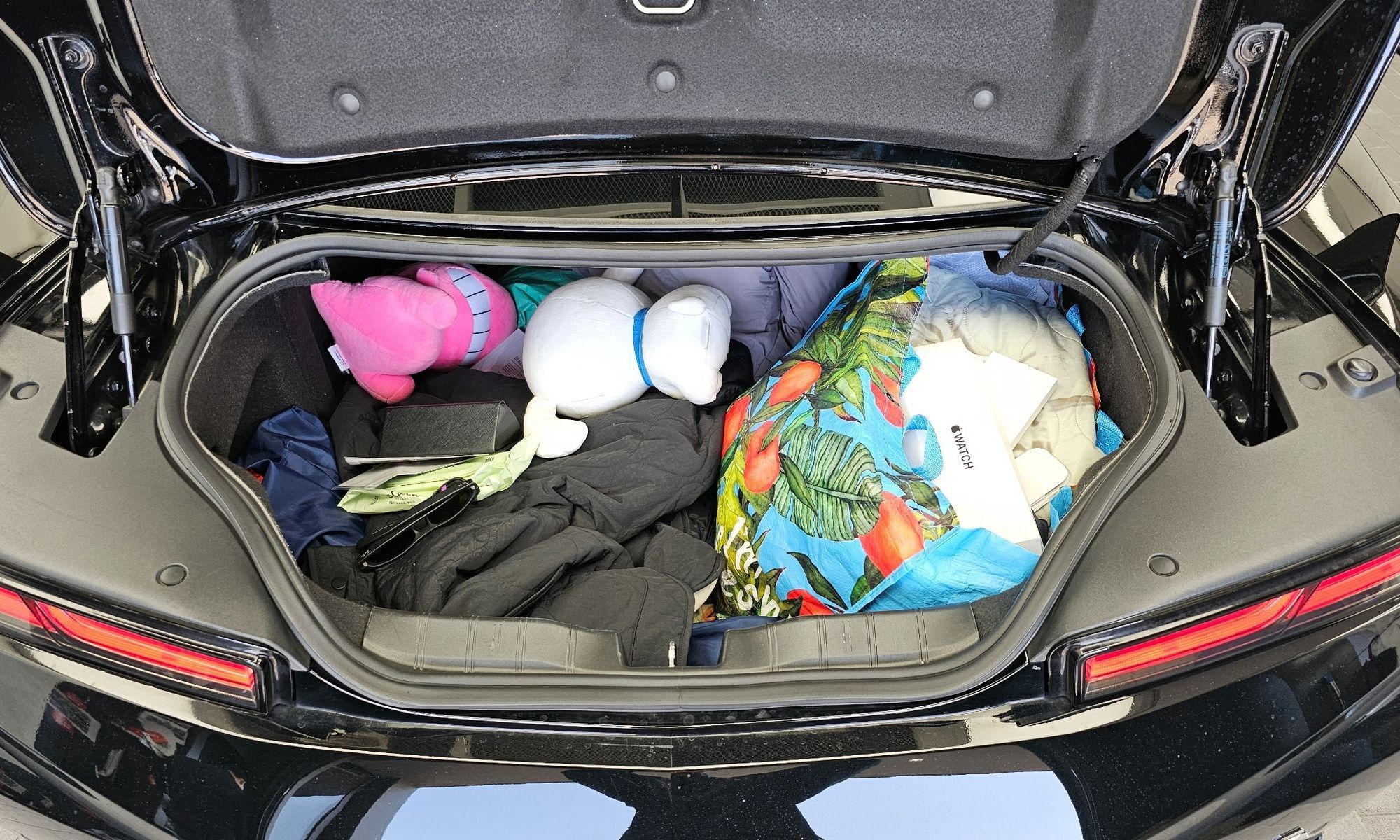 Image 19