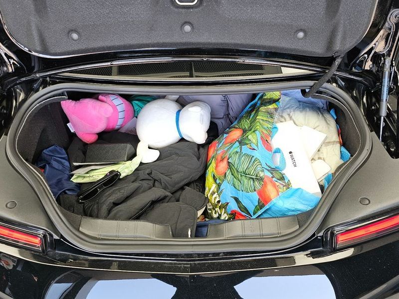 Image 19