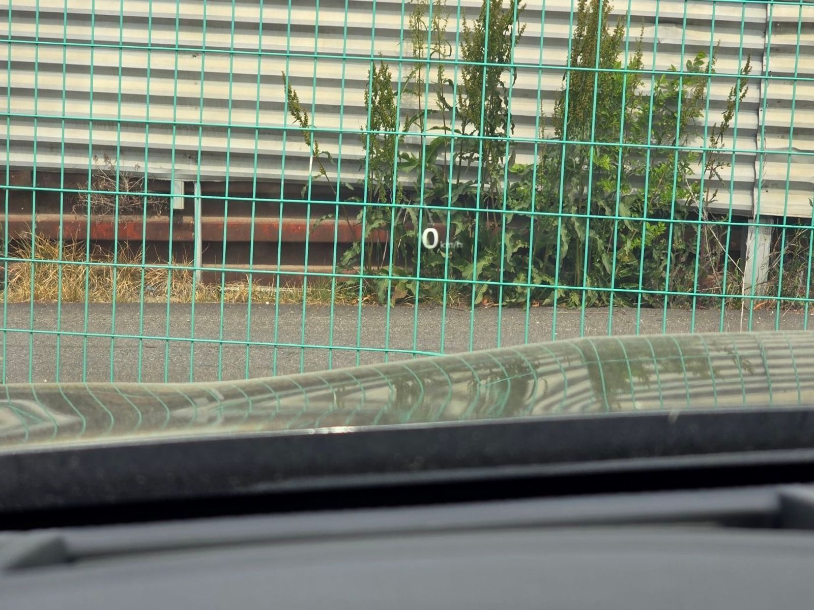 Image 11