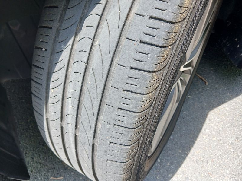 Image 8