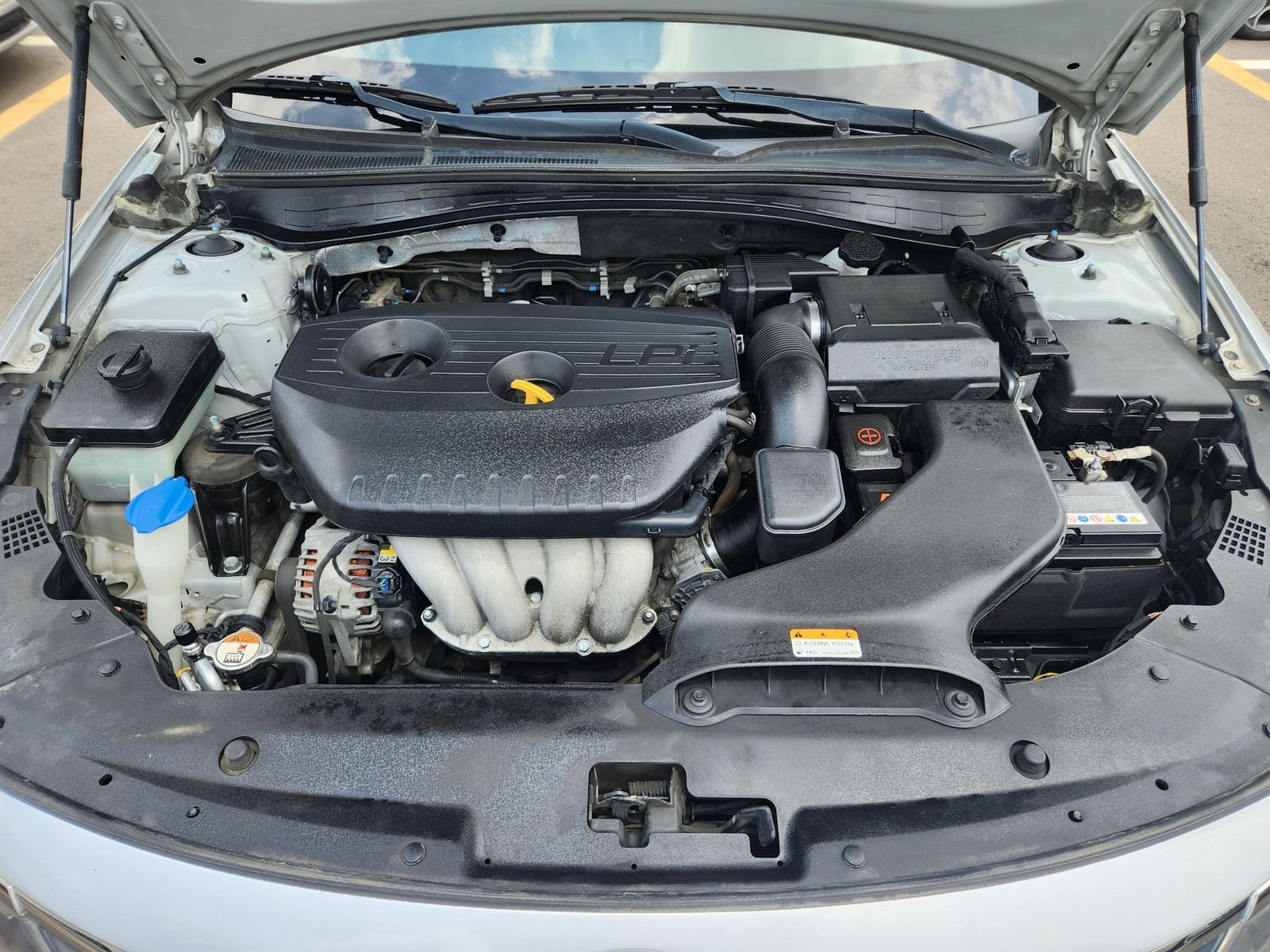 Image 7