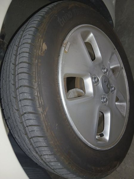 Image 8