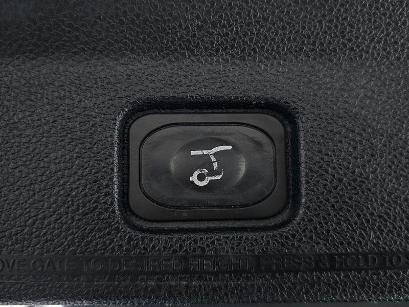 Image 19
