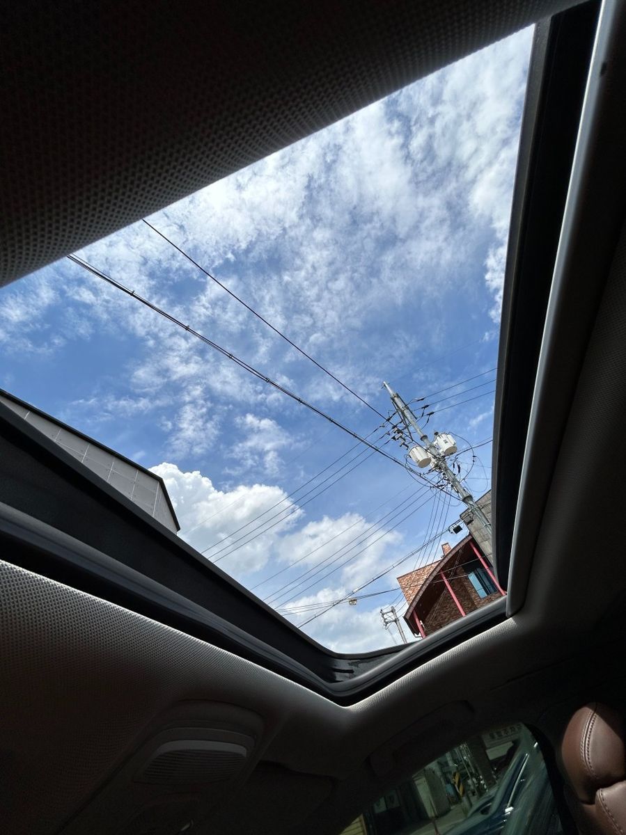 Image 15