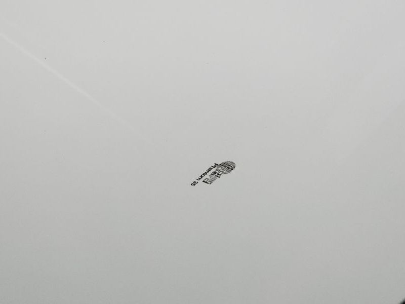 Image 19