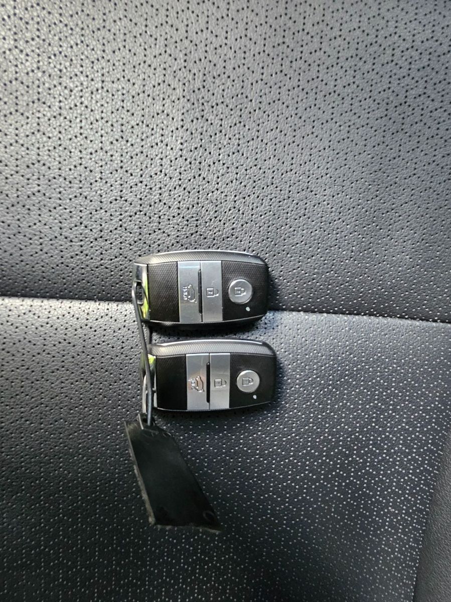 Image 19