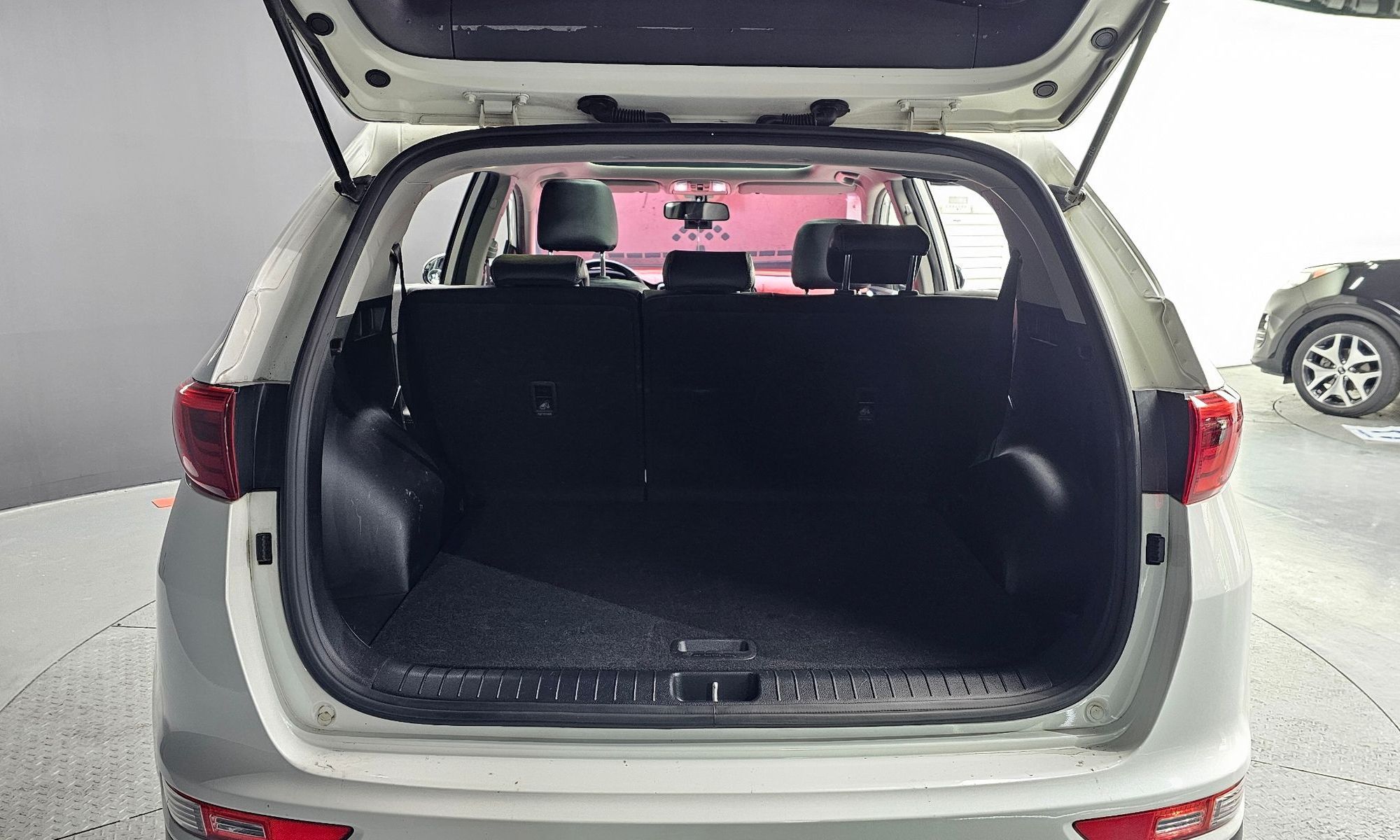 Image 19
