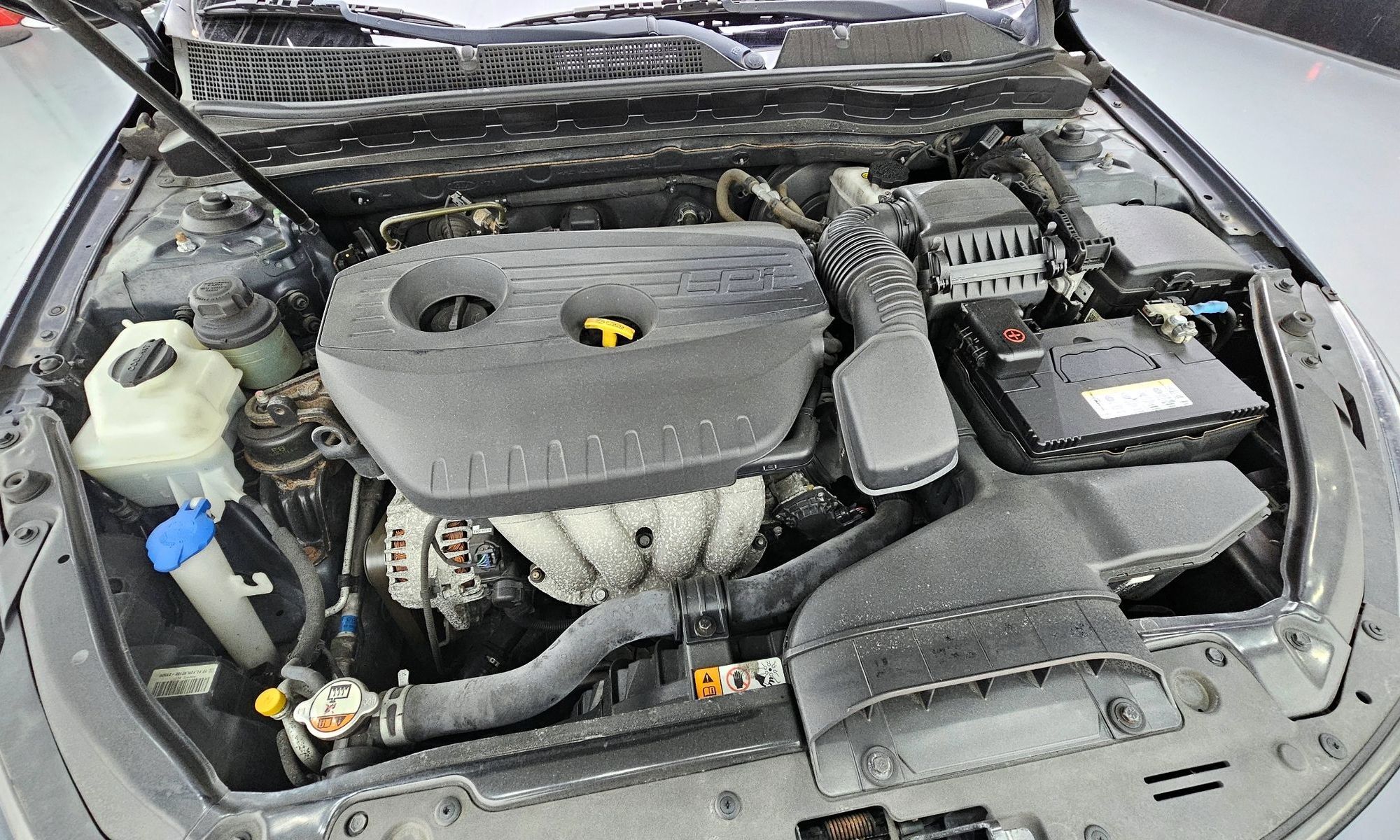 Image 5